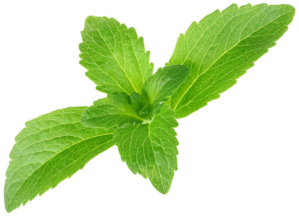 Stevia leaves